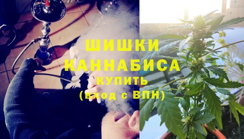 Марихуана сатива  магазин продажи   Коряжма 